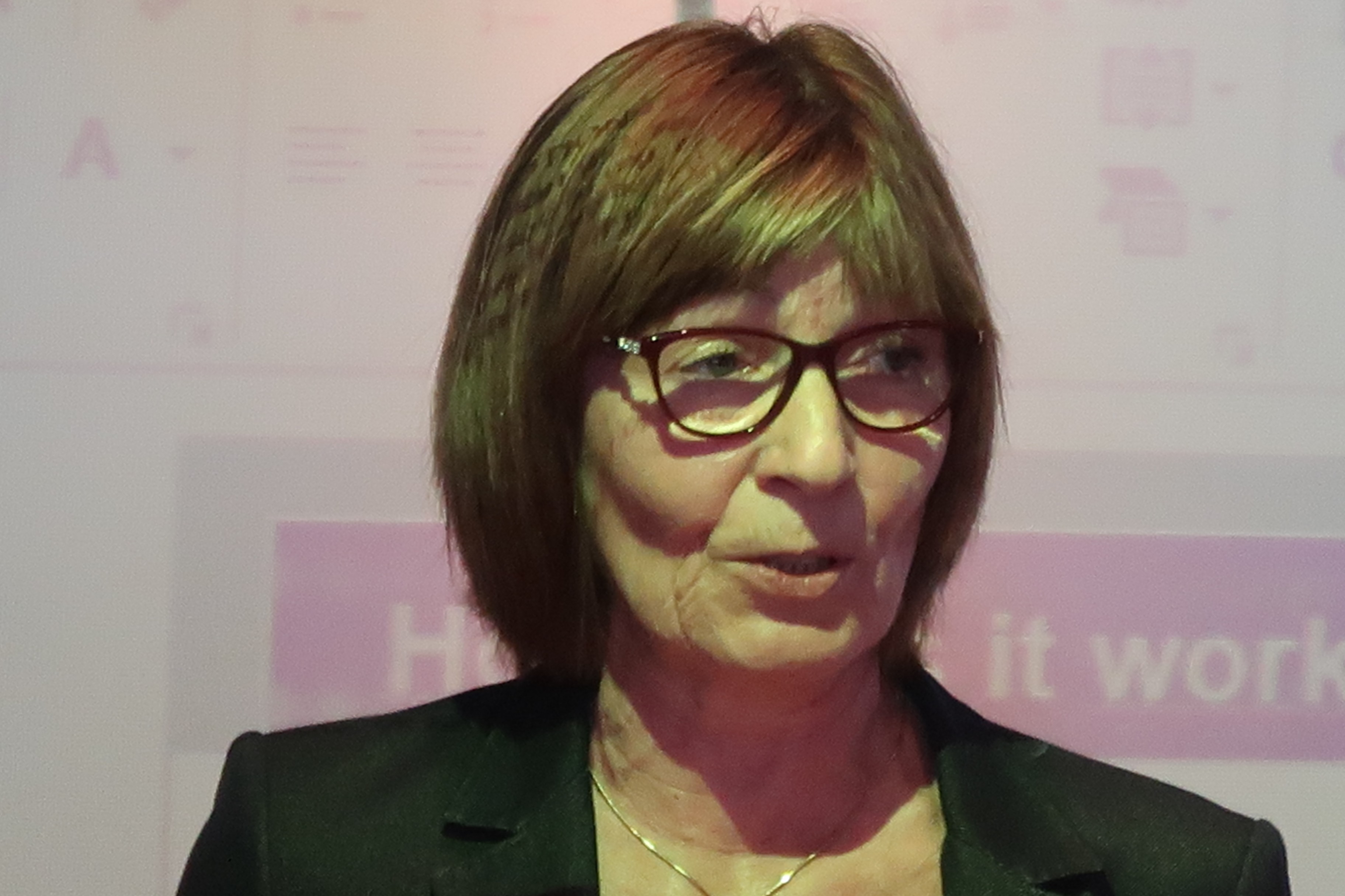 Darina Sedlakova, WHO Country Office for Slovenia Darina Sedlakova, WHO Country Office for Slovenia